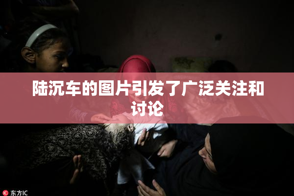 陆沉车的图片引发了广泛关注和讨论