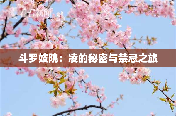斗罗妓院：凌的秘密与禁忌之旅