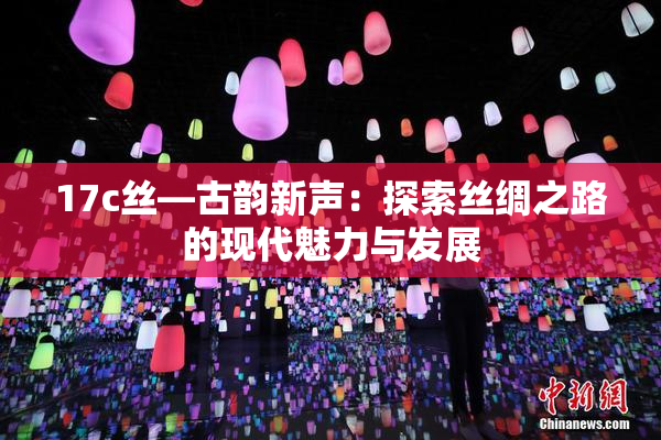 17c丝—古韵新声：探索丝绸之路的现代魅力与发展