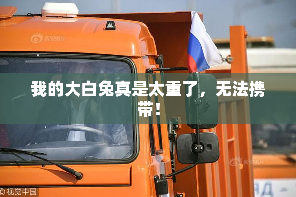 我的大白兔真是太重了，无法携带！