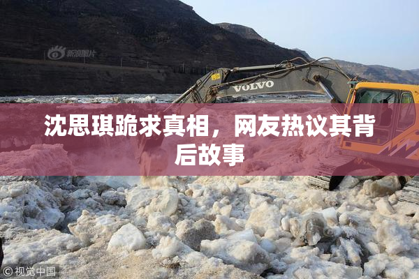 沈思琪跪求真相，网友热议其背后故事