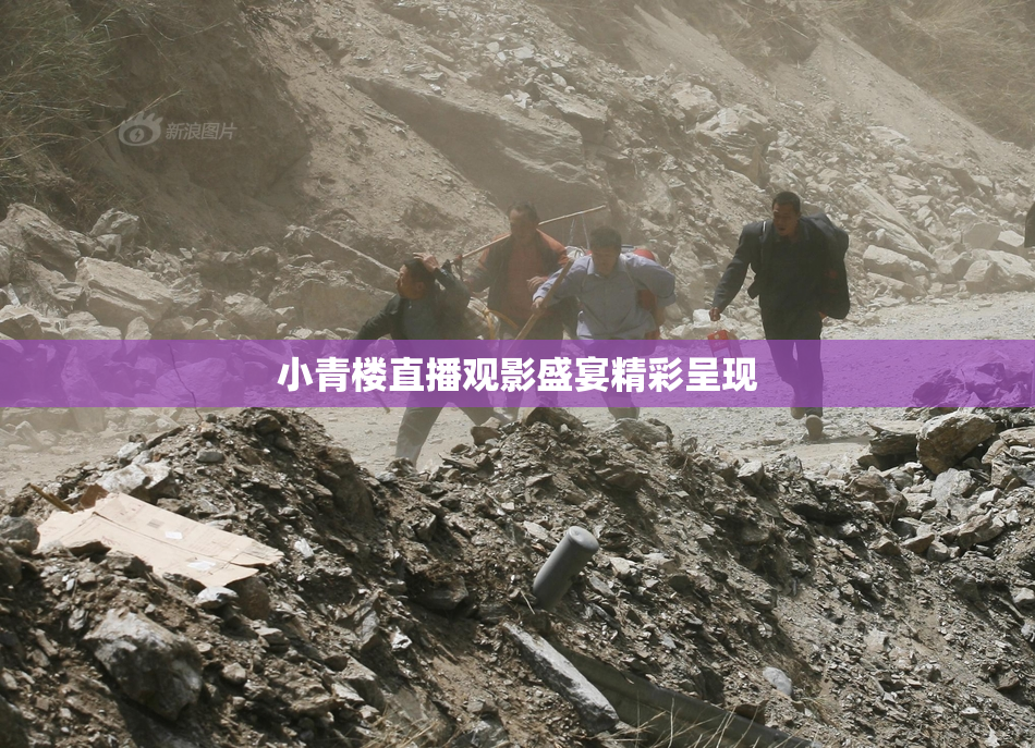 小青楼直播观影盛宴精彩呈现