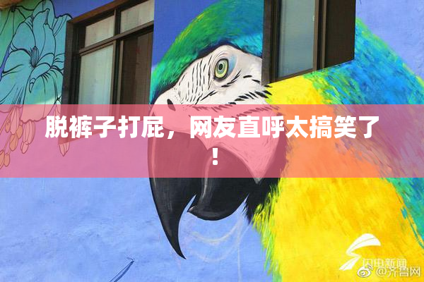 脱裤子打屁，网友直呼太搞笑了！