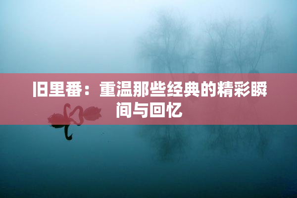 旧里番：重温那些经典的精彩瞬间与回忆