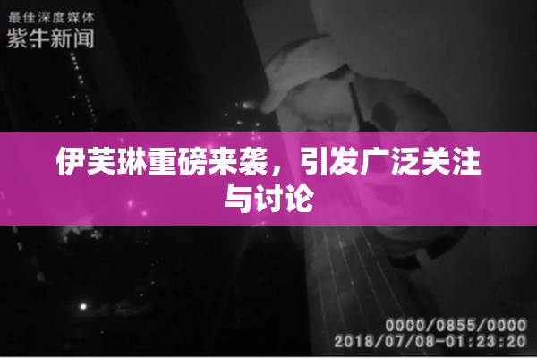 伊芙琳重磅来袭，引发广泛关注与讨论
