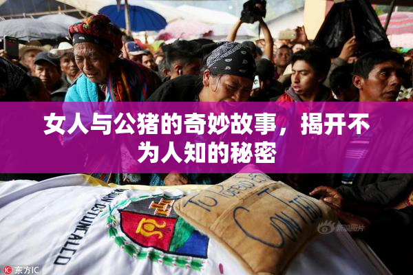 女人与公猪的奇妙故事，揭开不为人知的秘密