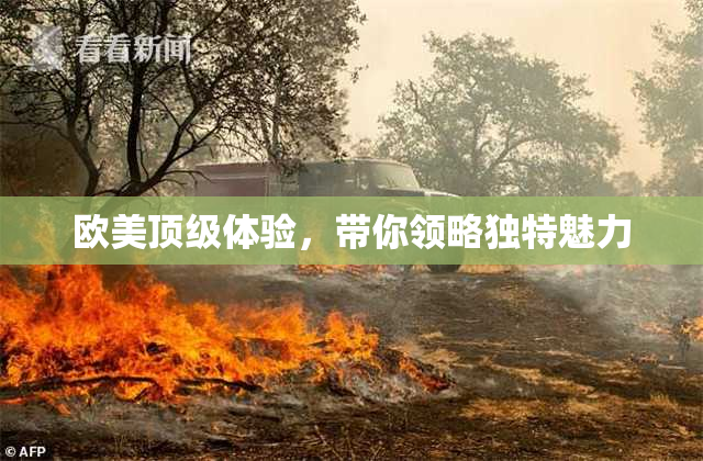 欧美顶级体验，带你领略独特魅力