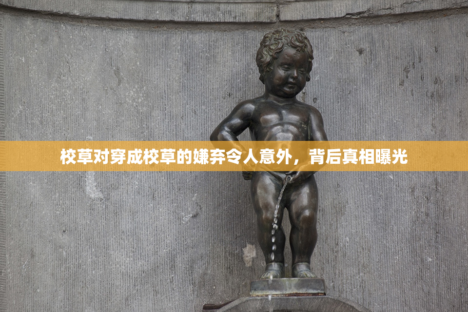 校草对穿成校草的嫌弃令人意外，背后真相曝光