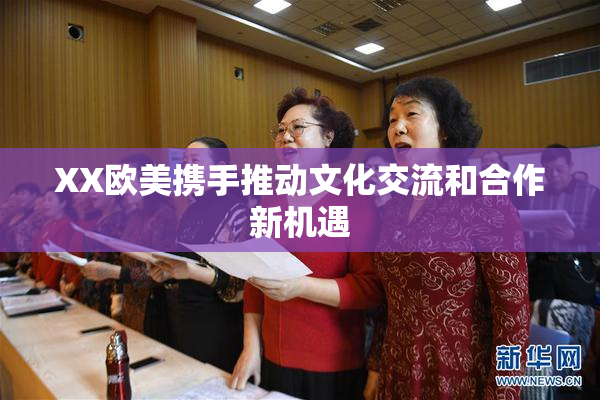 XX欧美携手推动文化交流和合作新机遇