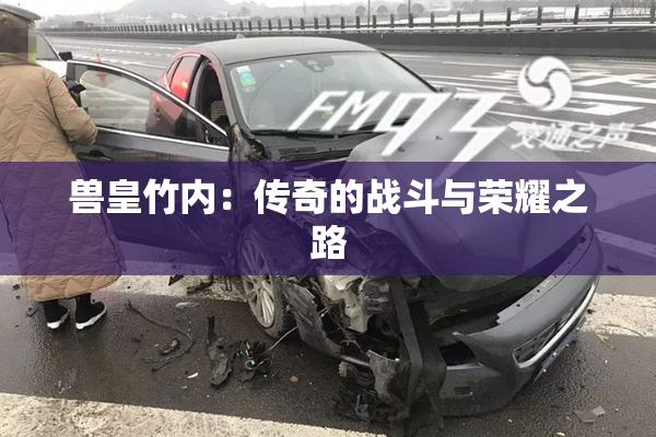 兽皇竹内：传奇的战斗与荣耀之路