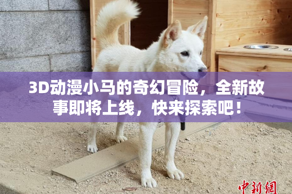 3D动漫小马的奇幻冒险，全新故事即将上线，快来探索吧！