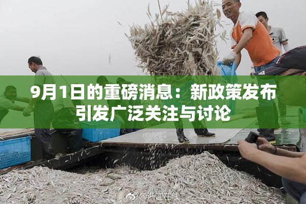 9月1日的重磅消息：新政策发布引发广泛关注与讨论