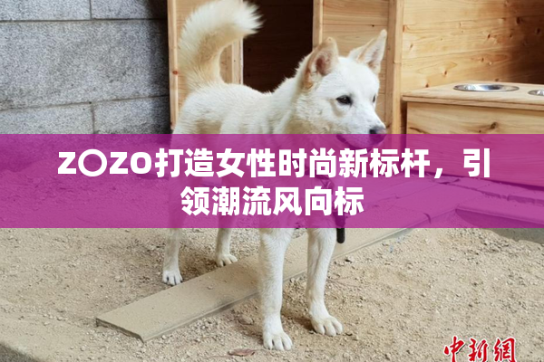 Z〇ZO打造女性时尚新标杆，引领潮流风向标