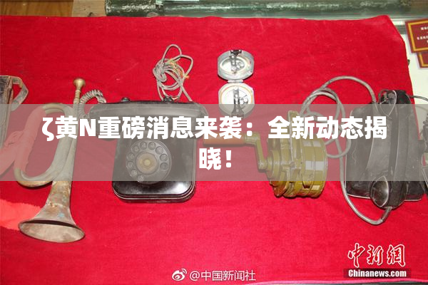 ζ黄Ν重磅消息来袭：全新动态揭晓！