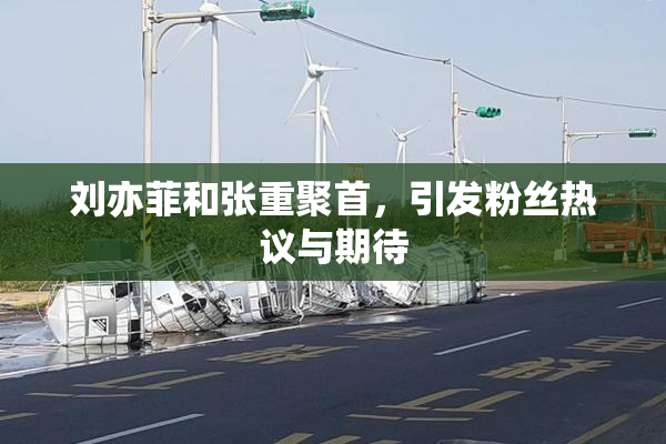 刘亦菲和张重聚首，引发粉丝热议与期待