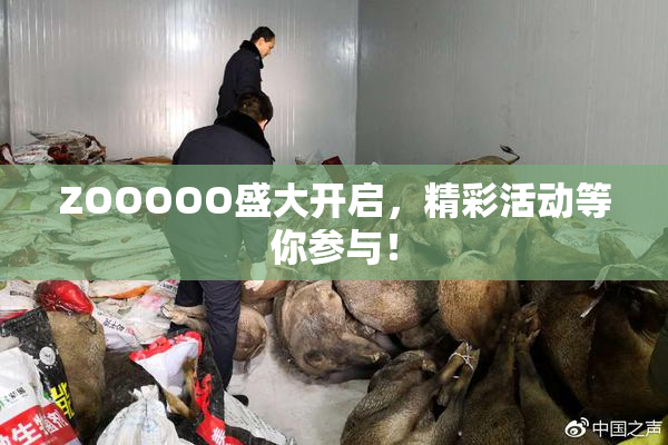ZOOOOO盛大开启，精彩活动等你参与！