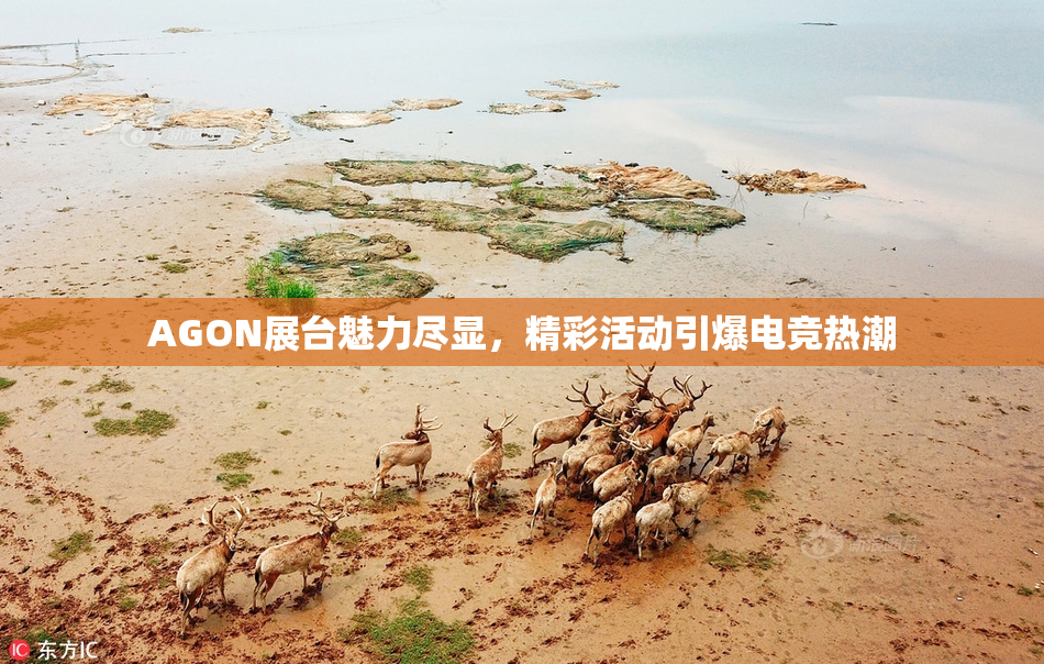 AGON展台魅力尽显，精彩活动引爆电竞热潮