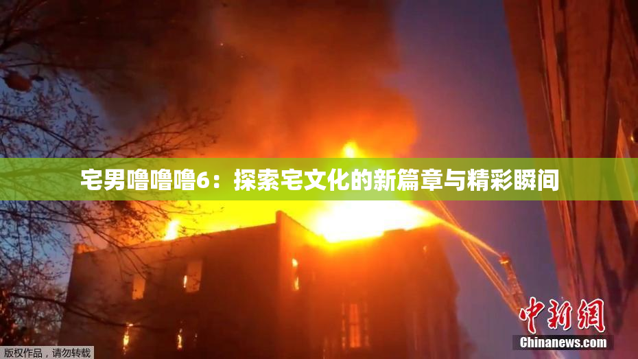 宅男噜噜噜6：探索宅文化的新篇章与精彩瞬间