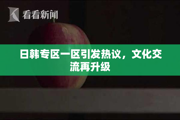 日韩专区一区引发热议，文化交流再升级
