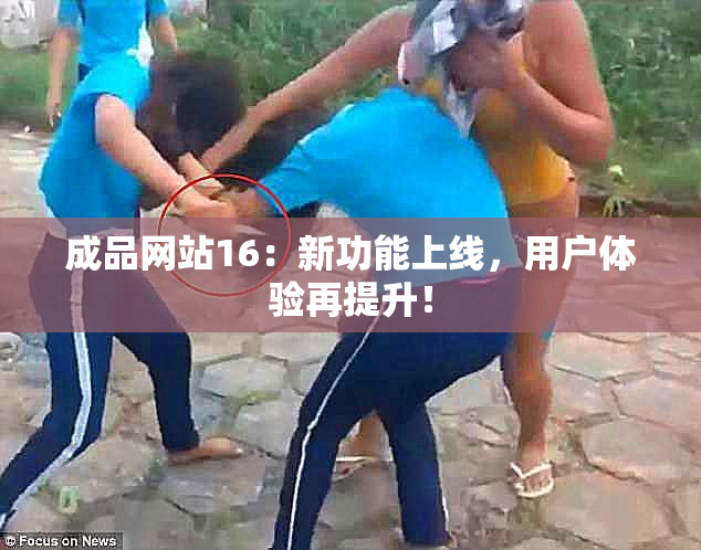 成品网站16：新功能上线，用户体验再提升！