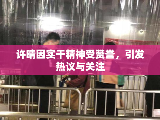 许晴因实干精神受赞誉，引发热议与关注