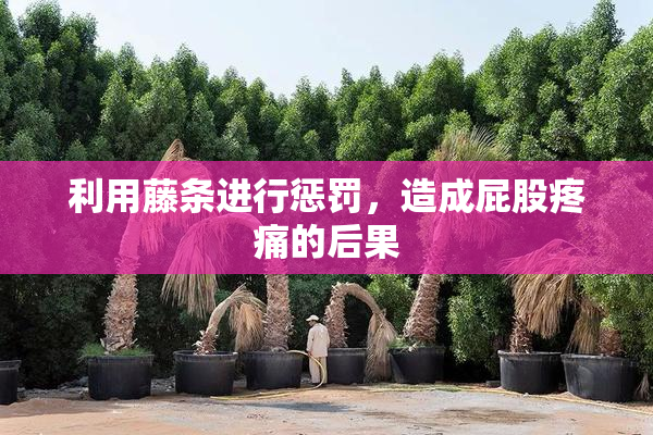 利用藤条进行惩罚，造成屁股疼痛的后果