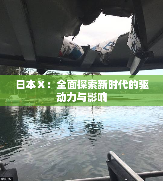 日本Ⅹ：全面探索新时代的驱动力与影响