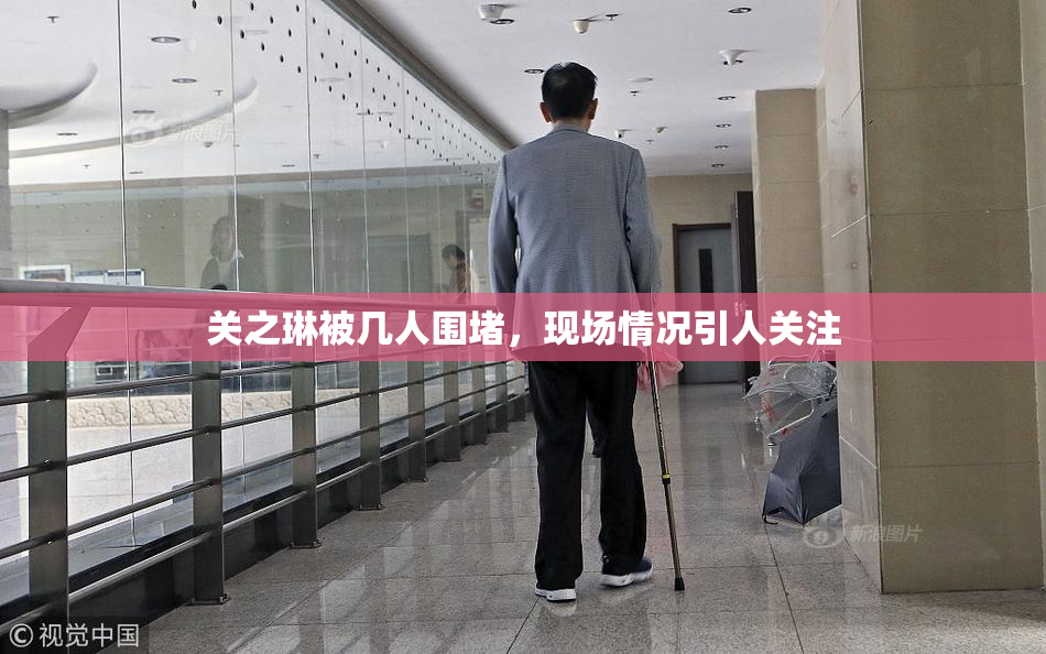 关之琳被几人围堵，现场情况引人关注