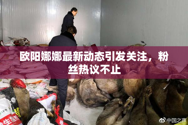 欧阳娜娜最新动态引发关注，粉丝热议不止