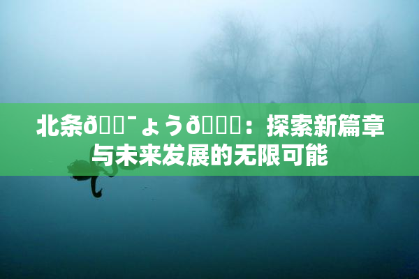 北条🔯ょう🍓：探索新篇章与未来发展的无限可能