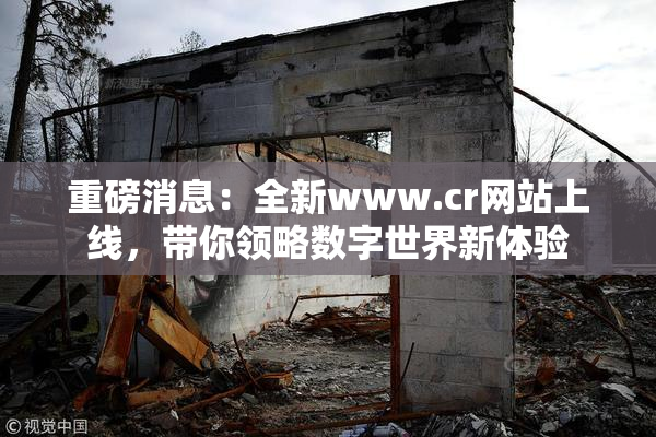 重磅消息：全新www.cr网站上线，带你领略数字世界新体验