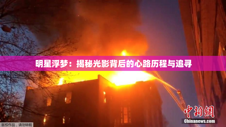 明星浮梦：揭秘光影背后的心路历程与追寻