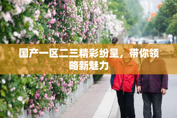 国产一区二三精彩纷呈，带你领略新魅力