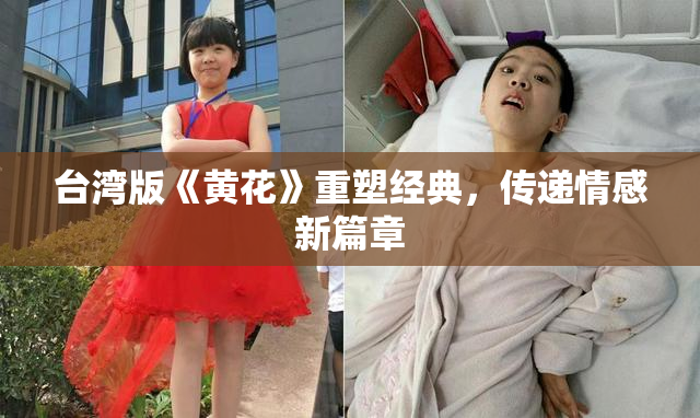 台湾版《黄花》重塑经典，传递情感新篇章