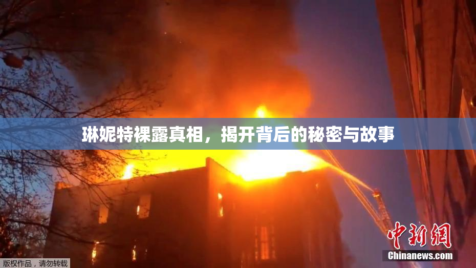 琳妮特裸露真相，揭开背后的秘密与故事