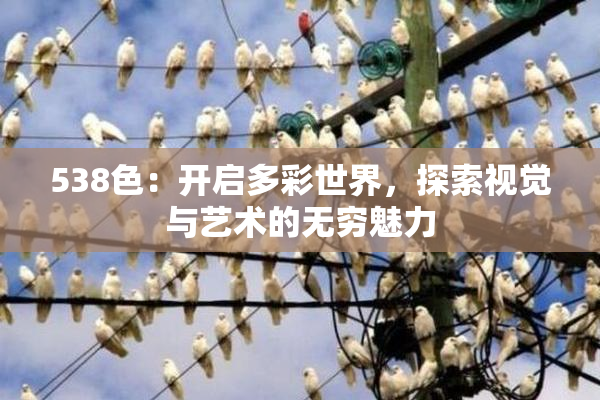 538色：开启多彩世界，探索视觉与艺术的无穷魅力