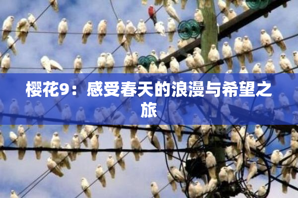樱花9：感受春天的浪漫与希望之旅