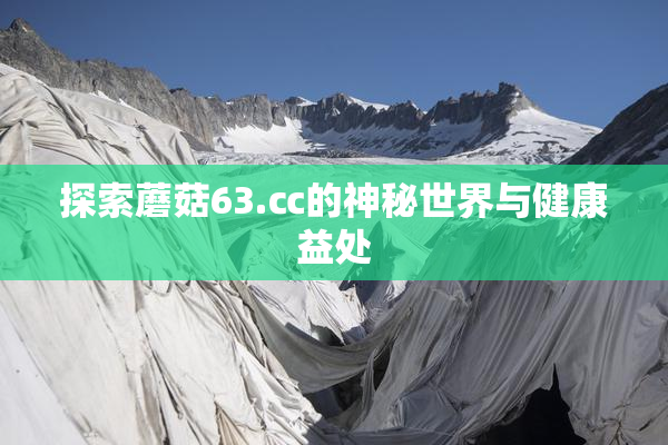 探索蘑菇63.㏄的神秘世界与健康益处