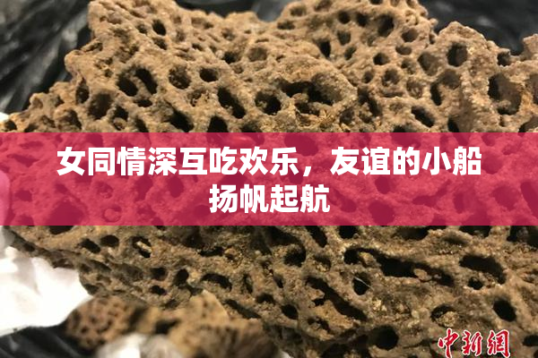 女同情深互吃欢乐，友谊的小船扬帆起航