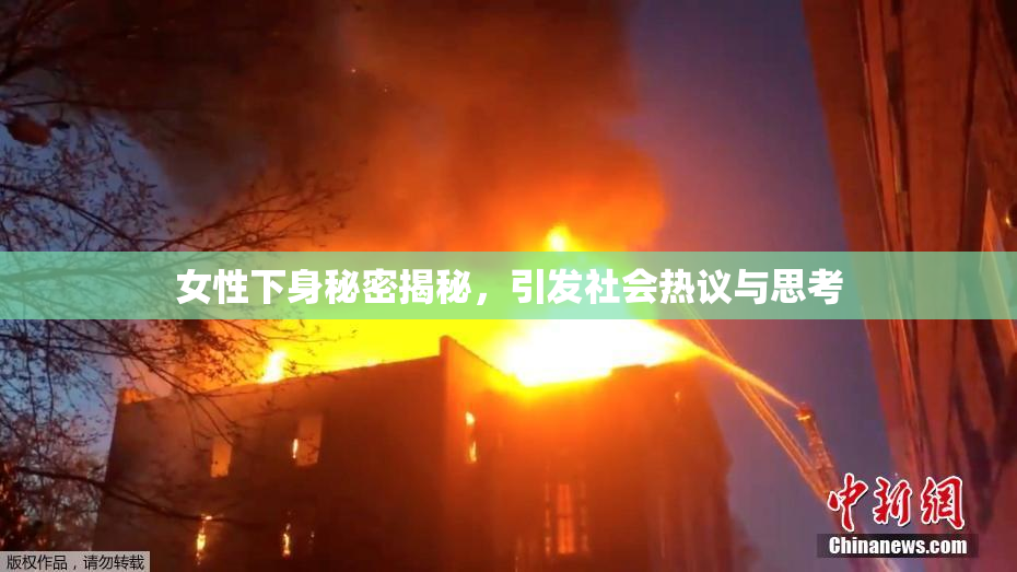 女性下身秘密揭秘，引发社会热议与思考
