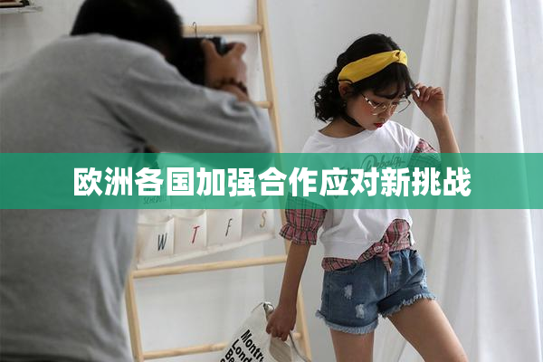 欧洲各国加强合作应对新挑战
