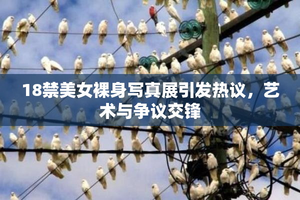 18禁美女裸身写真展引发热议，艺术与争议交锋