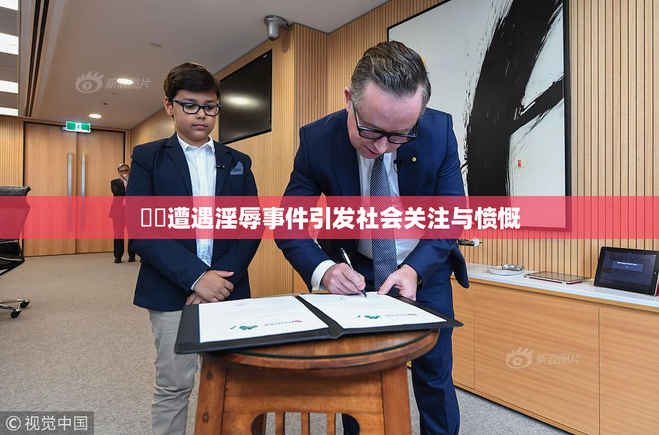 妺妺遭遇淫辱事件引发社会关注与愤慨