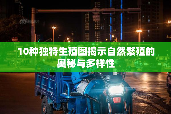 10种独特生殖图揭示自然繁殖的奥秘与多样性