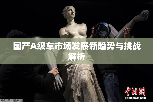国产A级车市场发展新趋势与挑战解析
