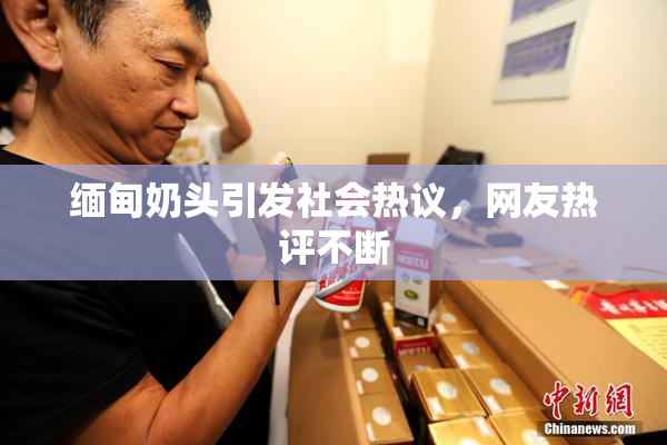 缅甸奶头引发社会热议，网友热评不断