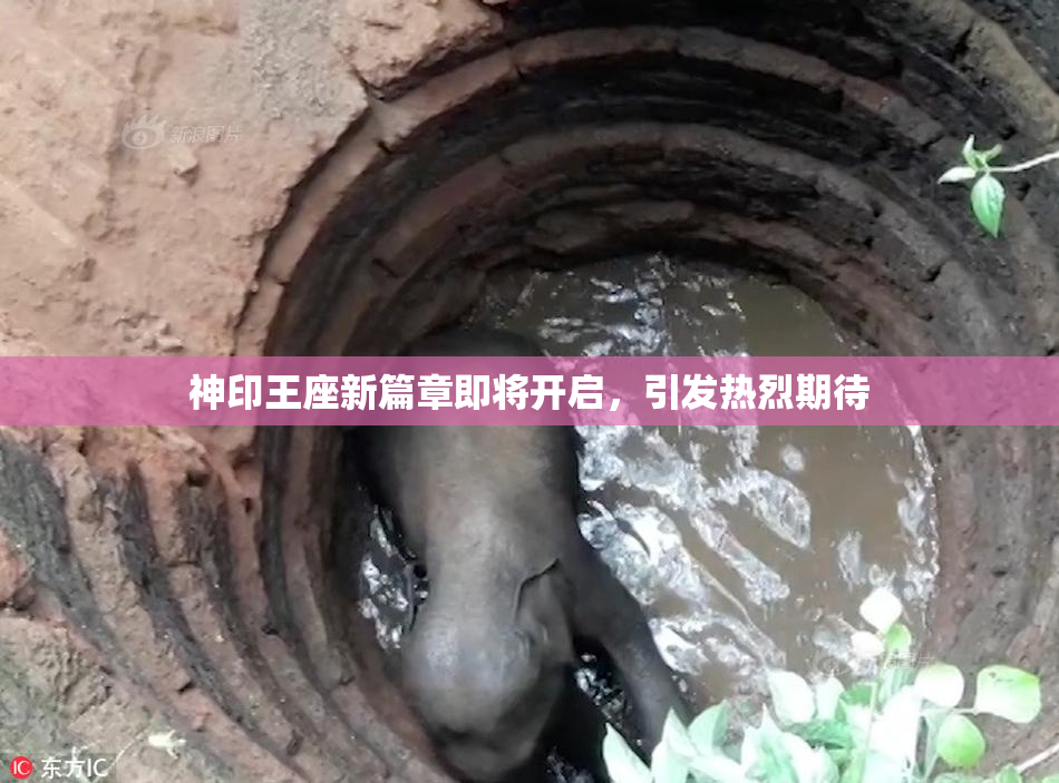 神印王座新篇章即将开启，引发热烈期待