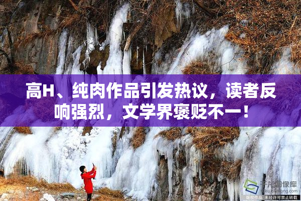 高H、纯肉作品引发热议，读者反响强烈，文学界褒贬不一！