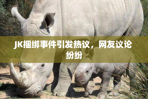 JK捆绑事件引发热议，网友议论纷纷