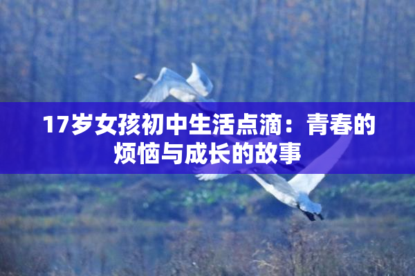 17岁女孩初中生活点滴：青春的烦恼与成长的故事